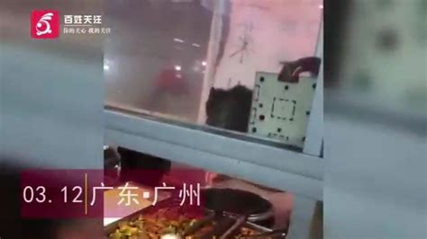 广州一大学食堂窗口惊现老鼠 校方：已在开展灭鼠工作_手机新浪网