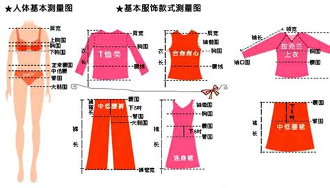 服装尺寸与人体自然尺寸的区别 时尚