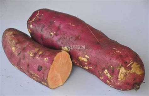 【图】红薯的营养价值 - 装修保障网