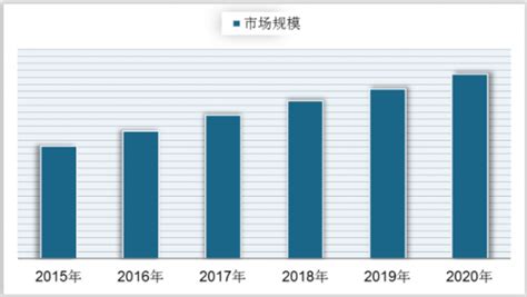 2023年皮具护理品行业前景趋势 - 2023-2029年中国皮具护理品行业市场分析与发展前景报告 - 产业调研网
