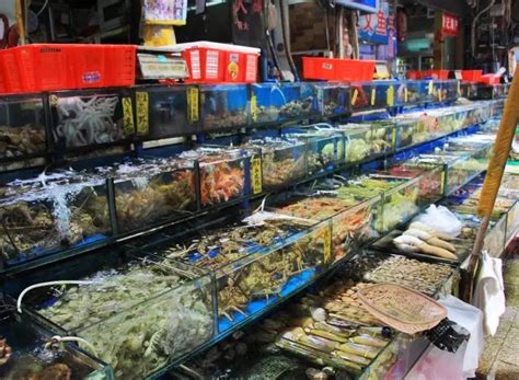 宁波海鲜干货市场 宁波最最最便宜的水产批发市场_华夏智能网