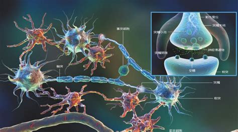 神经元,六边形,分子结构,脱氧核糖核酸,绘画插图,分子,顺序,纳米颗粒,神经科学,物理学摄影素材,汇图网www.huitu.com