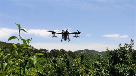 大疆发布T30无人机：翼展2.8米 每小时喷农药240亩地-大疆,T30,无人机,240亩地 ——快科技(驱动之家旗下媒体)--科技改变未来