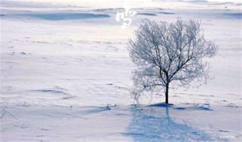 古诗文里描写冬季飘雪之景的唯美浪漫的句子｜古诗词欣赏 - 知乎
