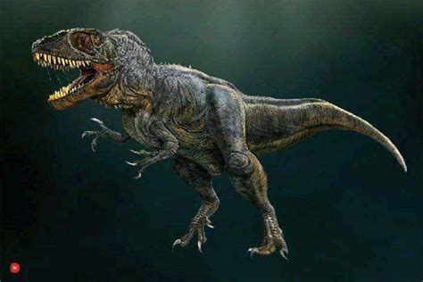 南方巨兽龙生活在哪个时期 它是体型庞大的食肉动物_探秘志