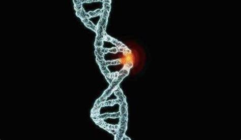 父母的基因是如何遗传给孩子的？ - 知乎
