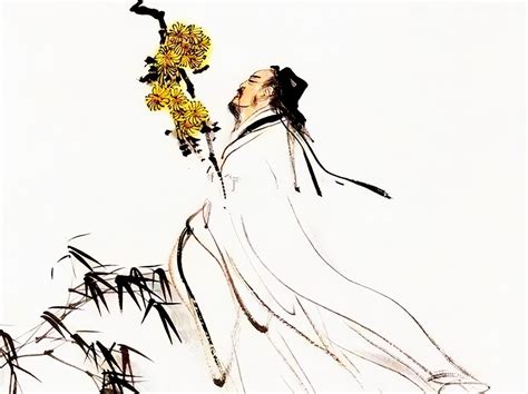 陶渊明与中国菊花文化-中国吉林网