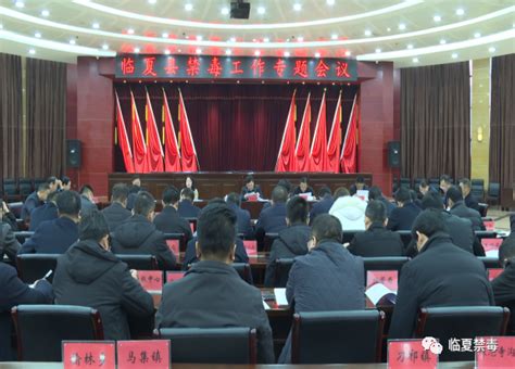 临夏县召开政府常务会议专题安排禁毒工作