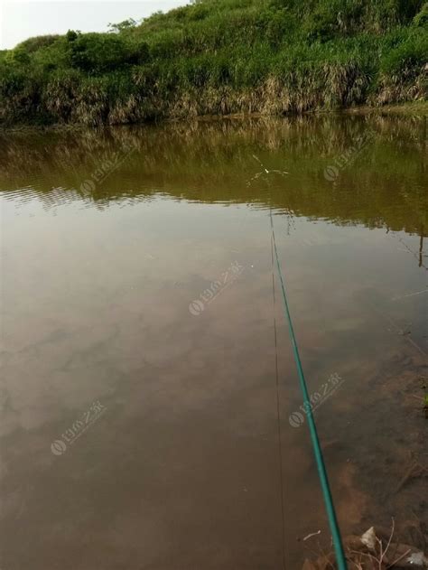 清水江拦河坝_清水江拦河坝钓鱼攻略_清水江拦河坝可以钓鱼吗 - 钓鱼之家