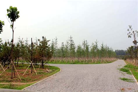 [北京]泰康之家昌平新城项目居住区示范区景观方案-知名景观公司-居住区景观-筑龙园林景观论坛