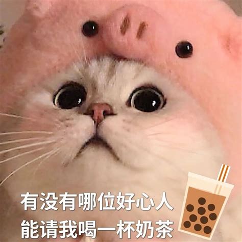 眼巴巴的表情包图片
