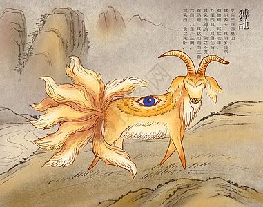 白矖图片