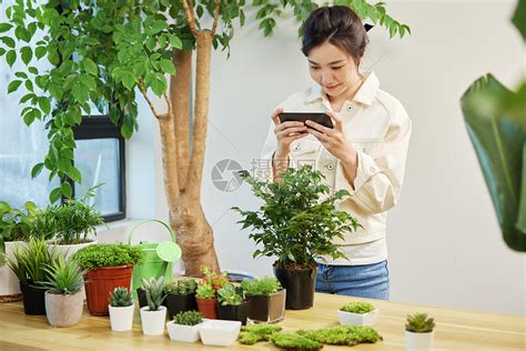 室内植物图片及名称介绍-中国木业网