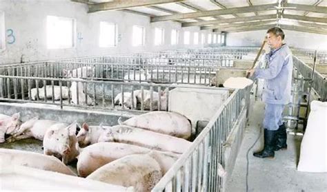 深入养殖一线，为草食动物养殖企业排忧解难-畜产品质量安全技术研究院