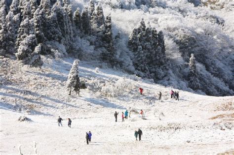 重庆金佛山景区 雪后美如人间仙境-高清图集-中国天气网