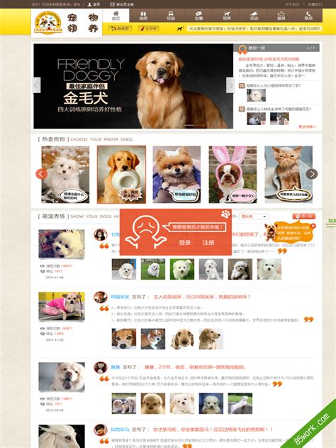 宠物官网|网页|企业官网|l090602 - 原创作品 - 站酷 (ZCOOL)