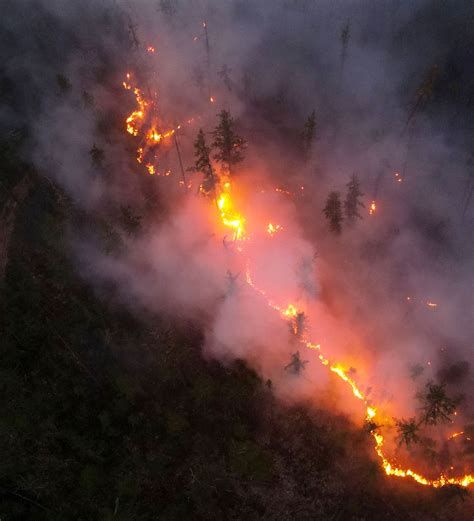 俄萨哈共和国过去一日扑灭45处天然火灾 - 2021年7月26日, 俄罗斯卫星通讯社
