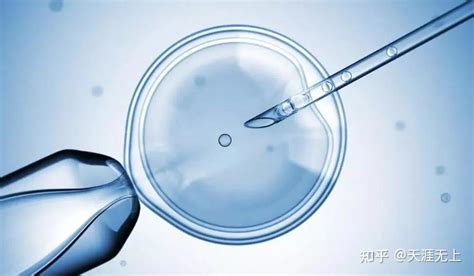 试管婴儿和人工授精的区别（人工受精和试管婴儿有何区别）-幼儿百科-魔术铺