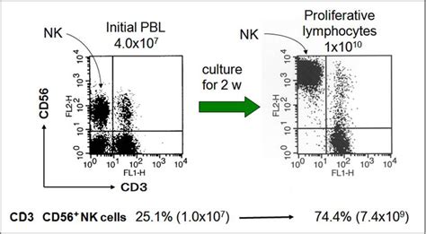 NK细胞表面免疫检查点受体KIRs知多少 - 自主发布 - 生物在线 Lab-on-Web