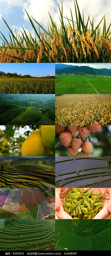 生态绿色农业高清视频下载_红动中国