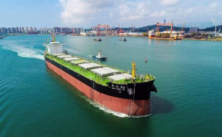 国航远洋投资在上海设立航运公司和能源贸易公司 - 中国船东协会