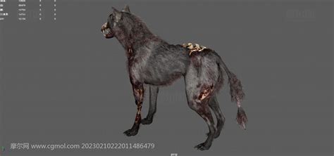 幽灵地狱犬,丧尸猎犬,僵尸猎狗,生化变异狗3dmaya模型_哺乳动物模型下载-摩尔网CGMOL