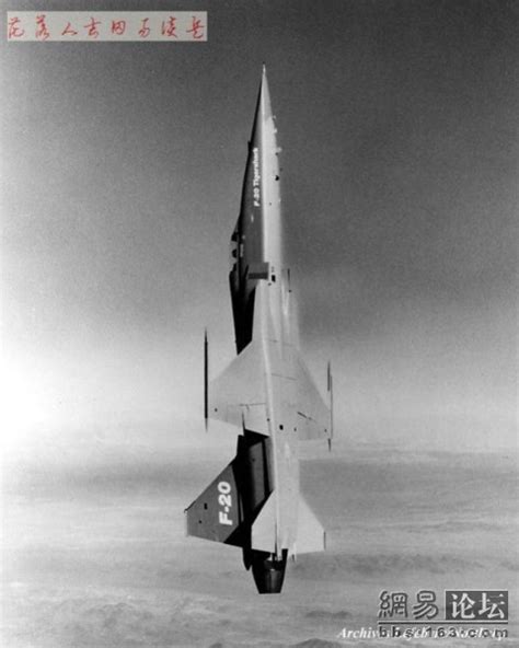 F-20战斗机（绰号：“虎鲨”）_1817766_领贤网