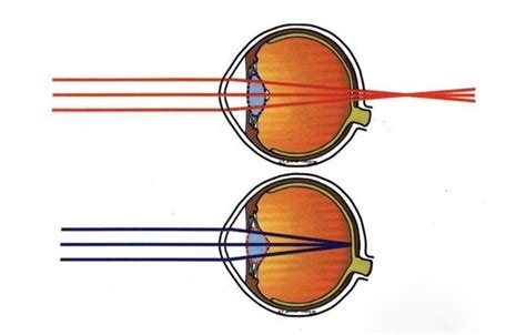 远视图眼肌运动训练墙贴儿童增视力矫正散光预防近视恢复远眺挂图_虎窝淘