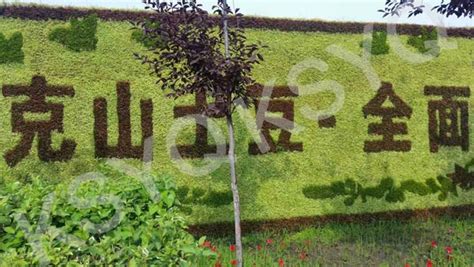 黑龙江省齐齐哈尔市克山县于凯马铃薯种薯种植专业合作社