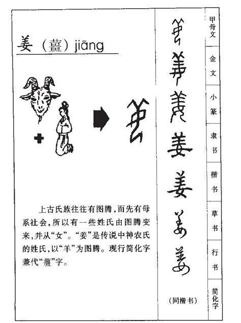 细说汉字“姜”，姜字的本义、姜字演变及起源 - 细说汉字 - 辞洋