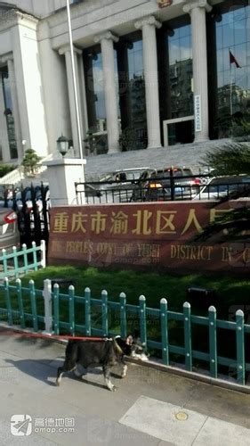 “集中宣判+法治宣传”揭露养老诈骗陷阱-重庆市渝北区人民法院
