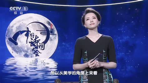 《中国诗词大会》第一季 殷怡航成为总冠军_腾讯视频