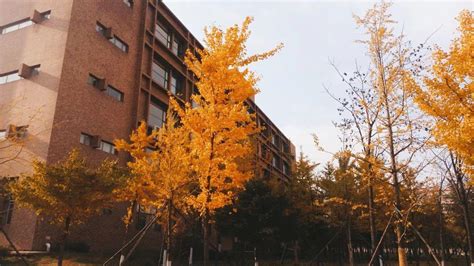 校园景观-青海大学