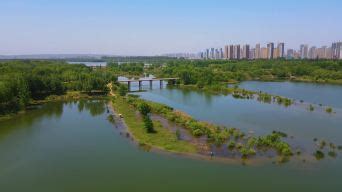 洛阳伊滨区中央公园正式开放 - 河南省文化和旅游厅