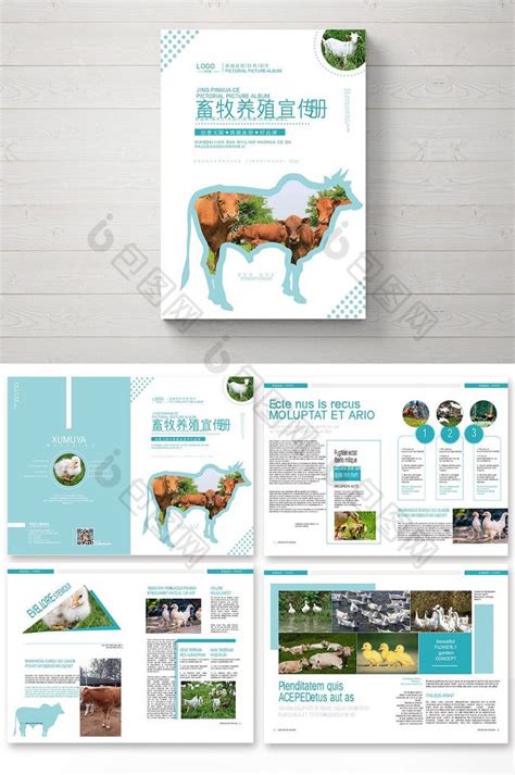 畜牧养殖行业画册模板-包图网