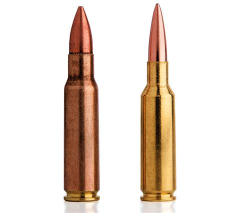 .224 Valkyrie Will Get a 100gr Bullet - Federal Premium Releases ...