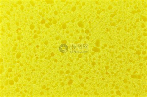 海绵图片