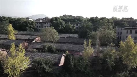 cargo微电影影评