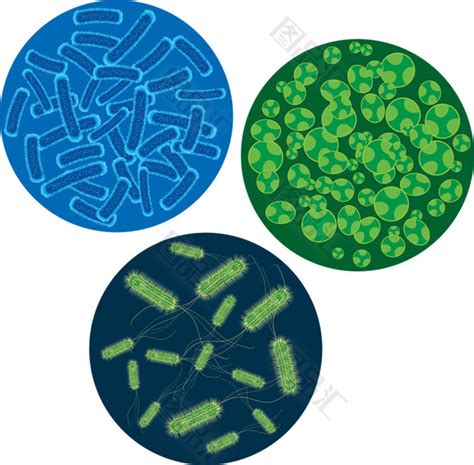 显微镜能怎样看细菌？细菌镜检方式大盘点