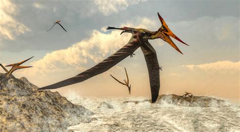 翼龙早期近亲化石被发现，填补了翼龙进化史中的空白 - 黑科技