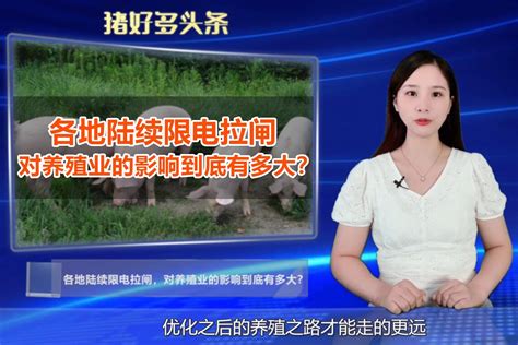 养殖畜牧业PPT模板下载_红动中国