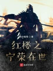 《红楼之庶子贾环传》小说在线阅读-起点中文网
