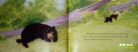 黑熊的森林旅行 - 故事绘本 - 故事365