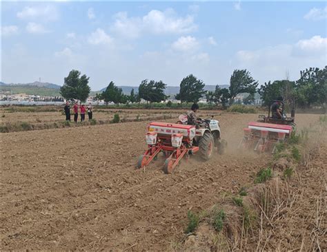 曲靖市农业机械技术推广站到马龙区指导大豆玉米带状复合种植机械化生产工作 | 农机新闻网