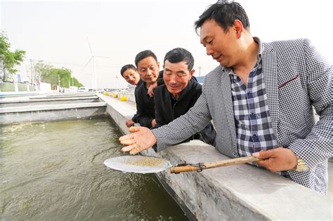 射阳县兴桥镇：下乡送政策 致富新农村_宣传