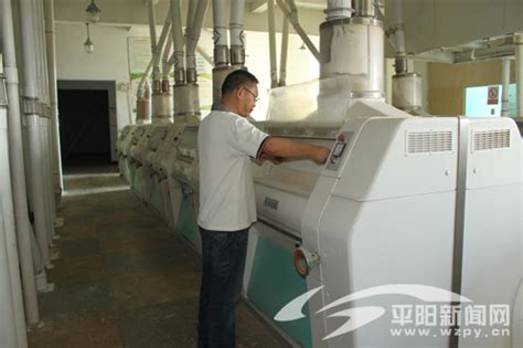 温州市复新面粉厂购置新设备提高产能_平阳新闻网