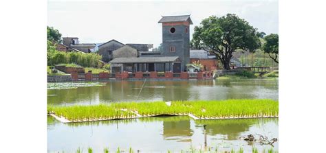 东大设计 | 东莞市东坑镇美丽幸福村居特色连片示范区