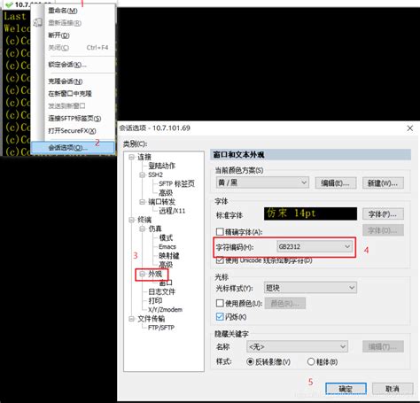 SecureCRT 中文显示乱码（打印中文内容文件乱码）_securecrt打印信息错乱-CSDN博客