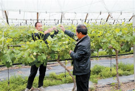 厉害了，息县这5家企业被评为农业产业化省重点龙头企业 - 最新活动 - 河南豫道农业科技发展有限公司