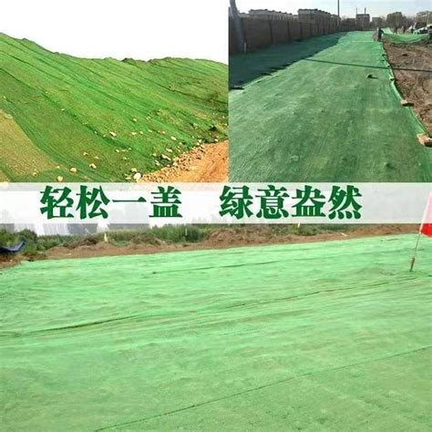绿色盖土网应用建筑工地对恶略天气为防止扬尘防尘网等专用绿化网-阿里巴巴